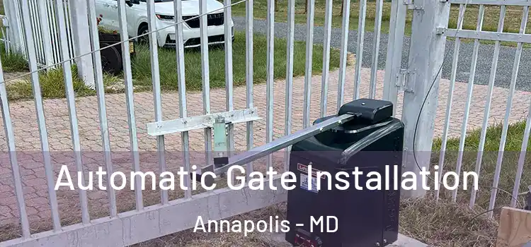  Automatic Gate Installation Annapolis - MD