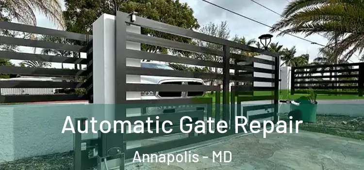 Automatic Gate Repair Annapolis - MD