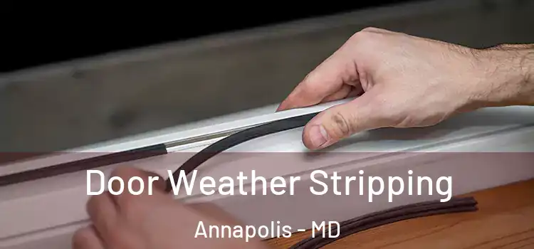 Door Weather Stripping Annapolis - MD