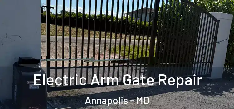 Electric Arm Gate Repair Annapolis - MD