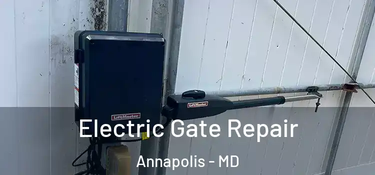 Electric Gate Repair Annapolis - MD