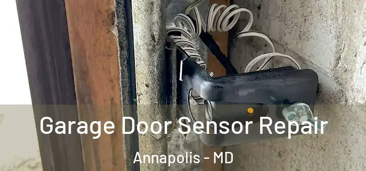 Garage Door Sensor Repair Annapolis - MD