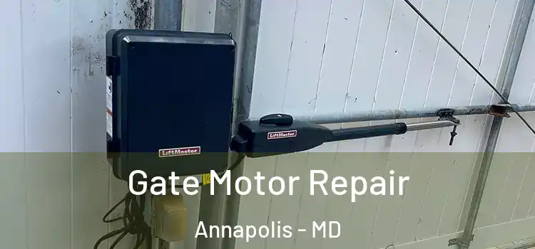 Gate Motor Repair Annapolis - MD