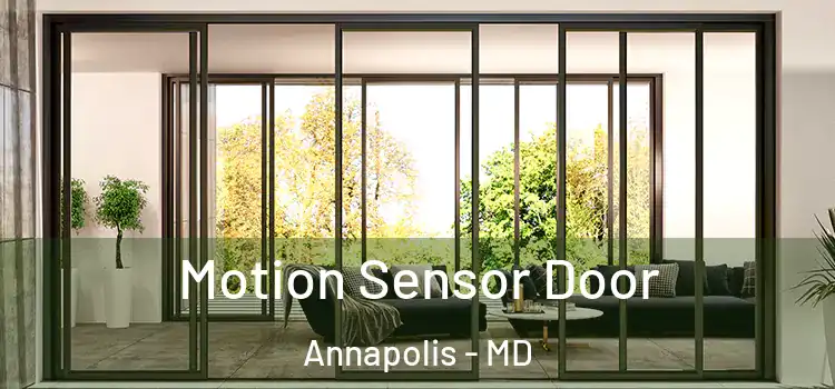 Motion Sensor Door Annapolis - MD