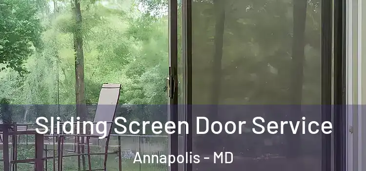 Sliding Screen Door Service Annapolis - MD